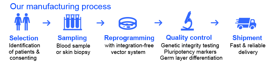 hiPSC - our manufacturing process
